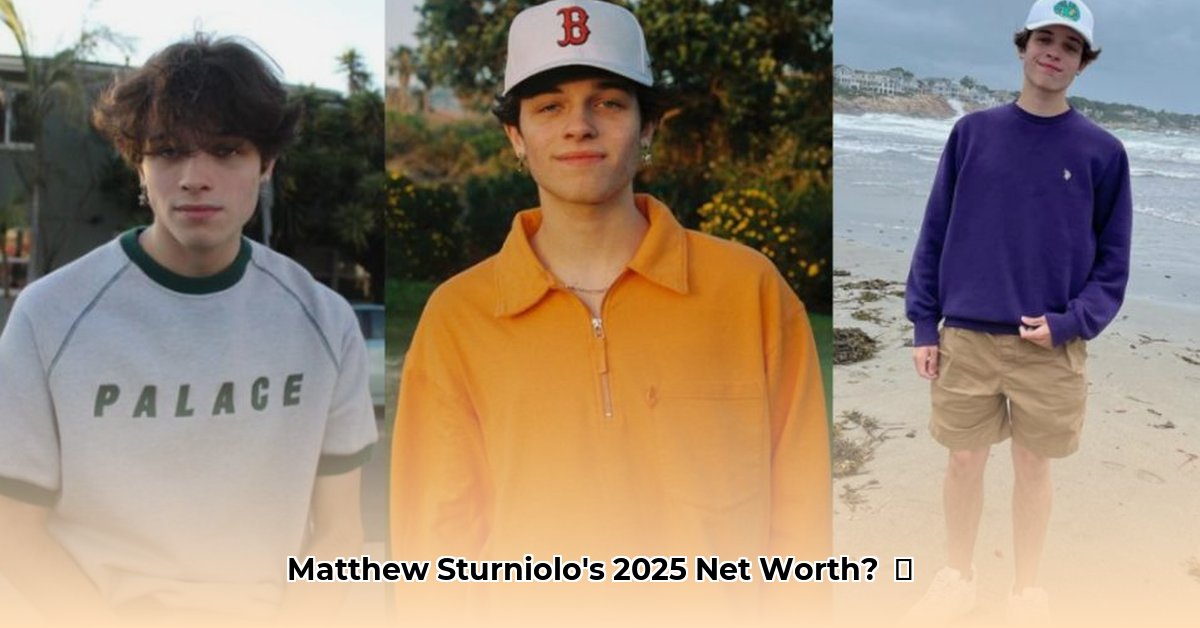 matthew-sturniolo-net-worth